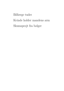 Bilfærge tuder